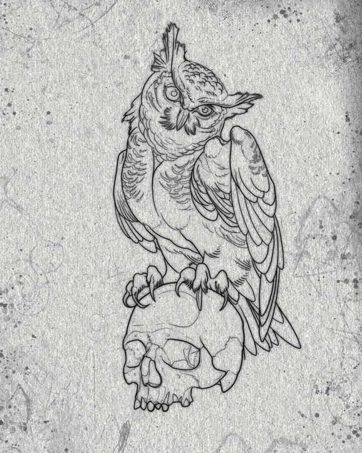 Tattoo design of an owl sitting on a human skull