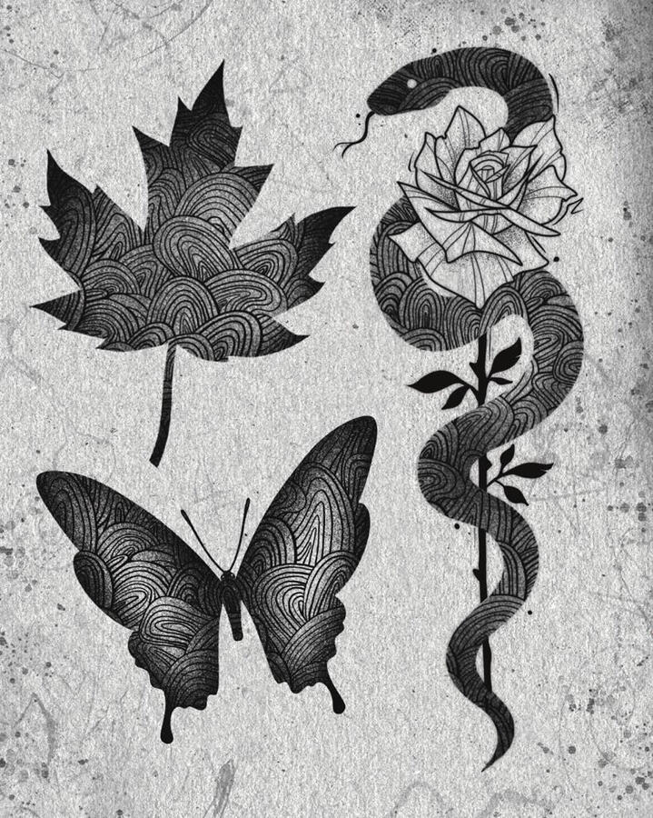Illustrative tattoo flash of snake, butterfly and leaf